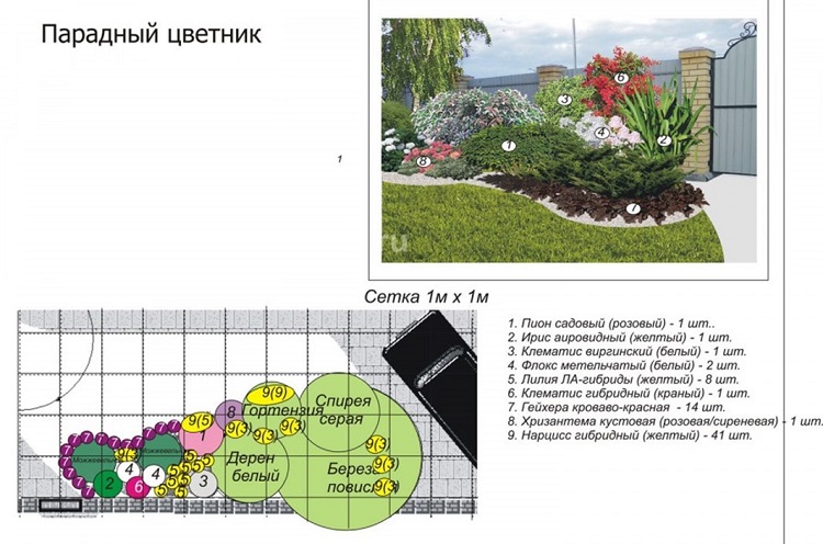 проект парадного цветника перед домом