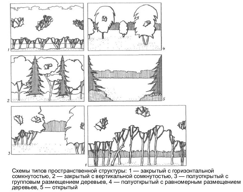 типы пространственной структуры ландшафта