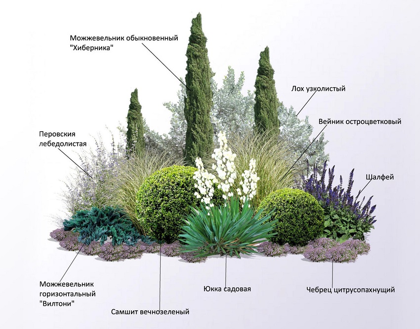 Современные ландшафтные композиции: готовые решения в подборе растений