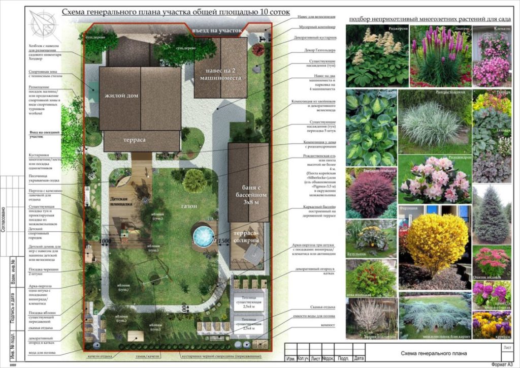 озеленение участка 10 соток с постройками