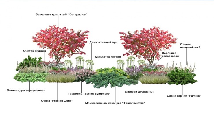 Современные ландшафтные композиции: готовые решения в подборе растений