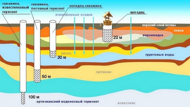 схема верховодка