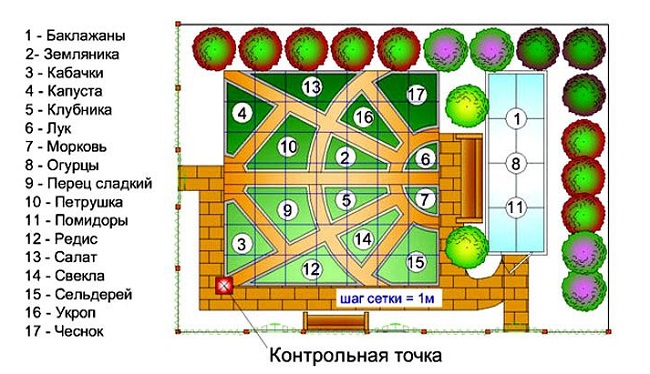 схема высадки растений в декоративном огороде