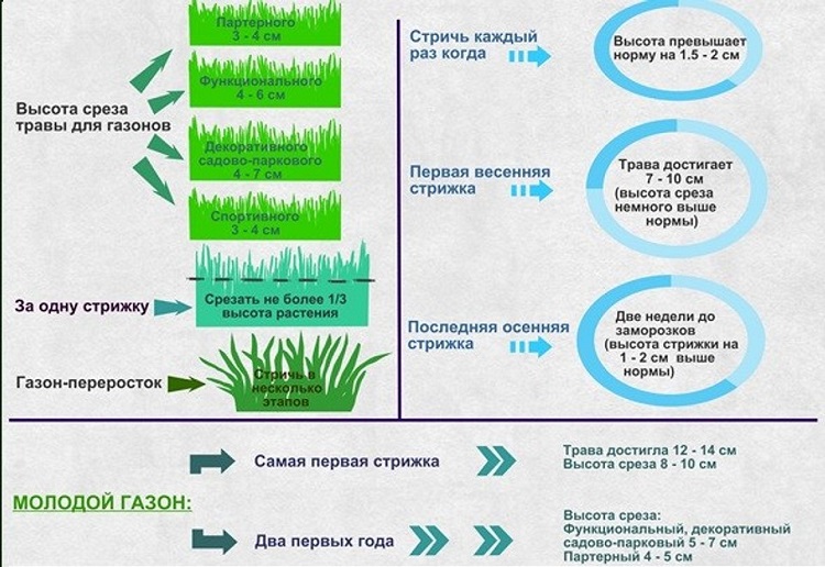 стрижка газона в первый раз