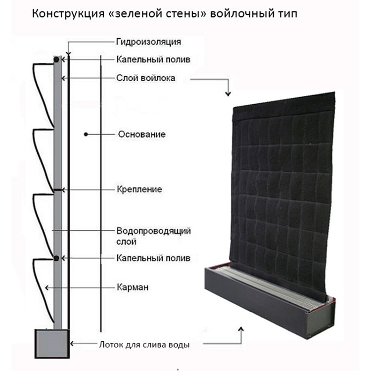 войлочная конструкция фитостены