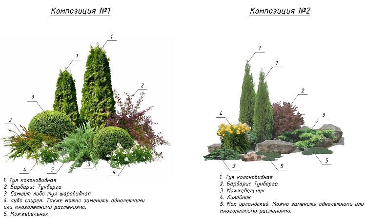 миксбордер из кустарников и хвойных