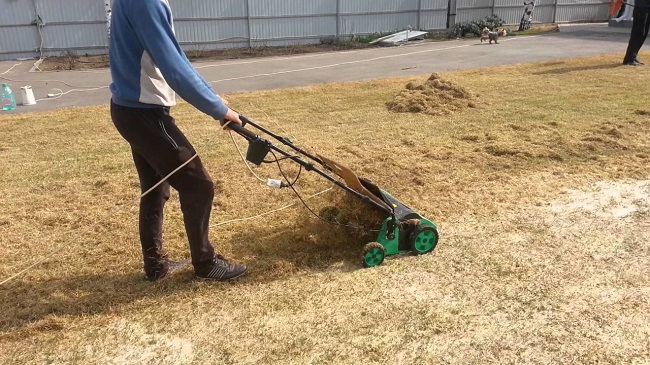 скарификация газона весной