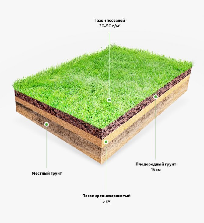 пирог грунта для роста газона