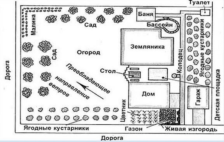 расположение сада и огорода на участке