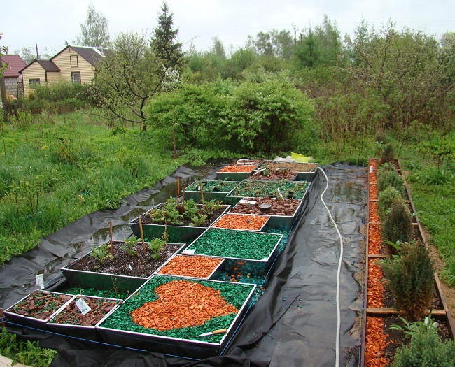 модульные грядки в ландшафтном дизайне