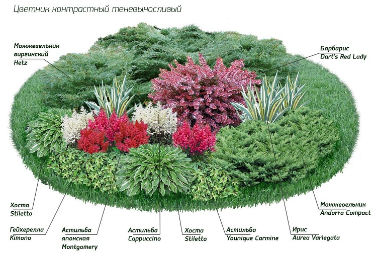 хоста в миксбордере схема