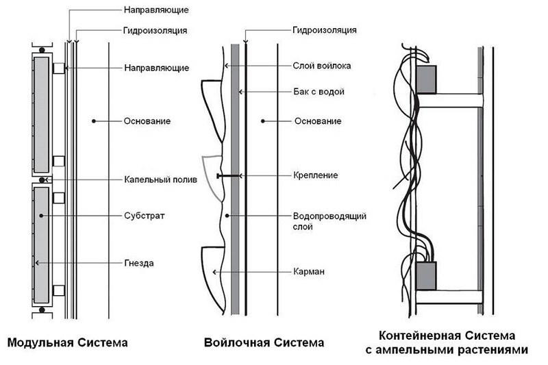 виды конструкций фитостен схема