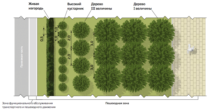 расстояния для высадки деревьев и кустарников