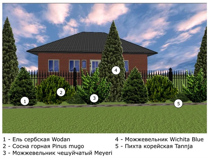 схема посадки деревьев вдоль забора