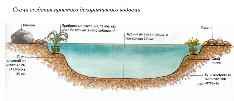 схема пруда из пленки