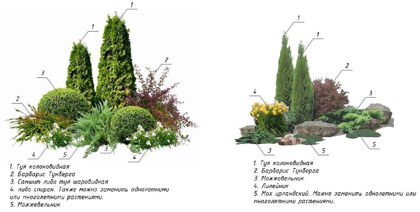 Современные ландшафтные композиции: готовые решения в подборе растений