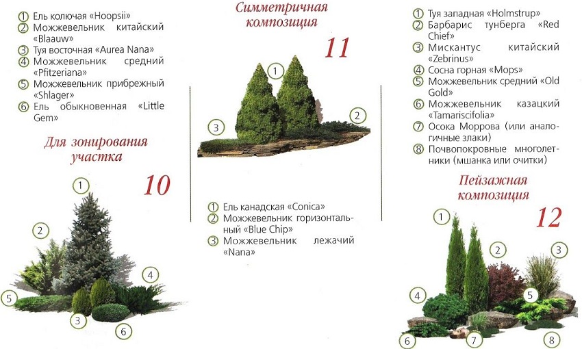 Современные ландшафтные композиции: готовые решения в подборе растений