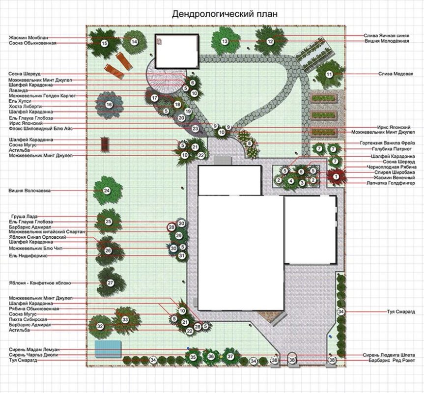 дендроплан участка 10 соток
