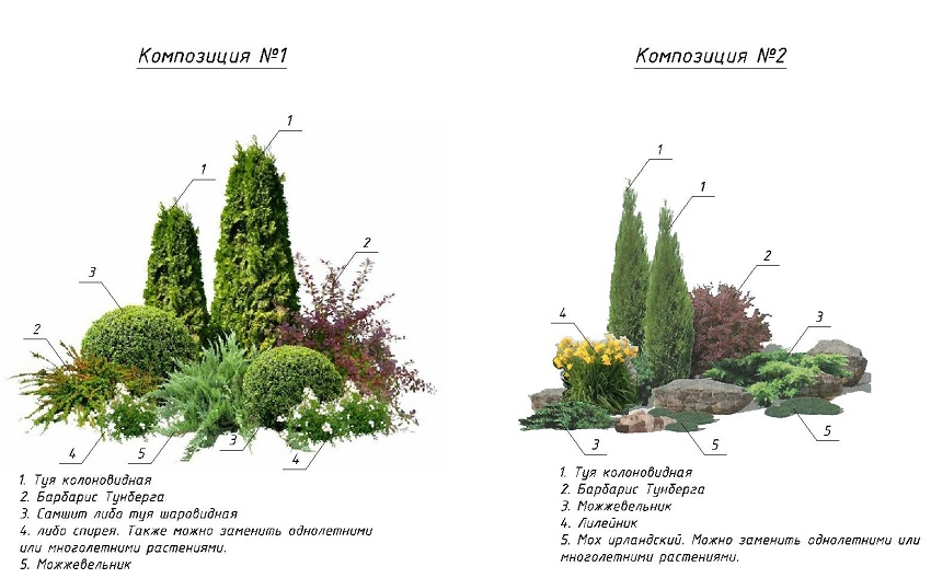 Современные ландшафтные композиции: готовые решения в подборе растений