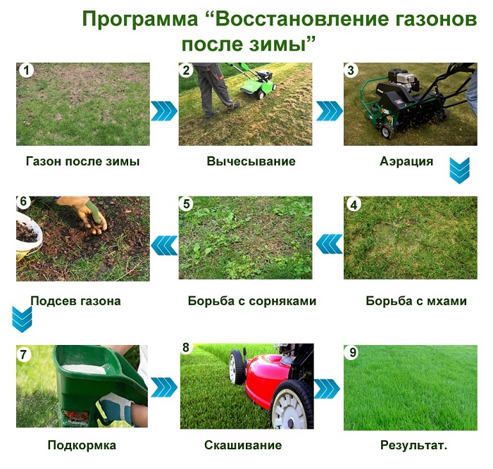 уход за газоном после зимы