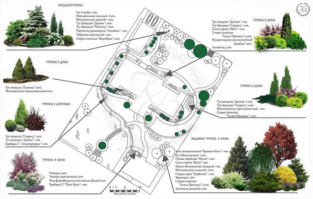 расположение ландшафтных композиций по участку