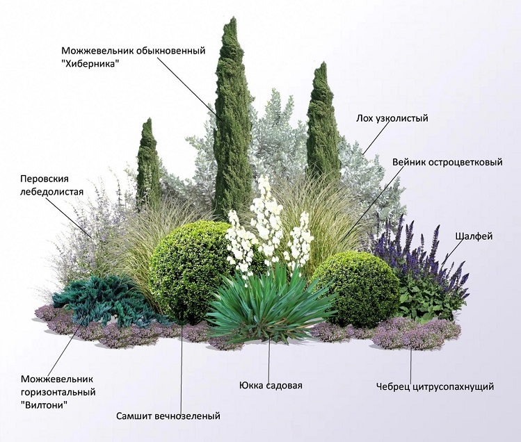 Готовые композиции с хвойными растениями для ландшафтного дизайна