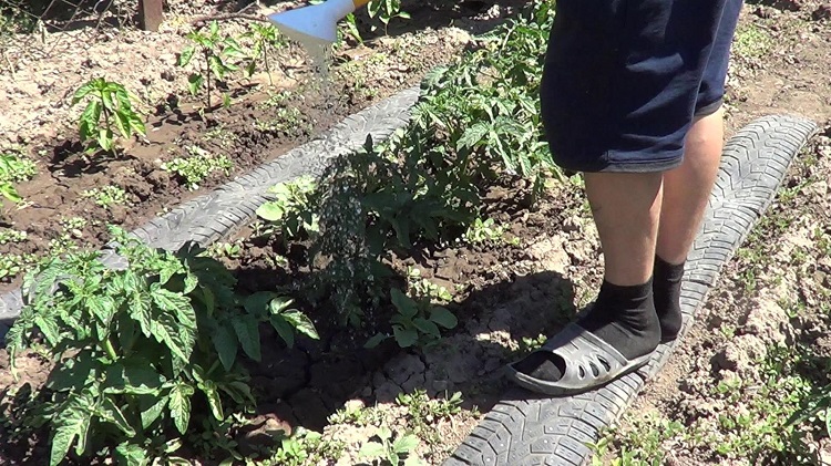 дорожка между грядками из покрышек