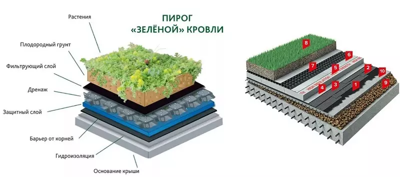 пирог зеленой крыши