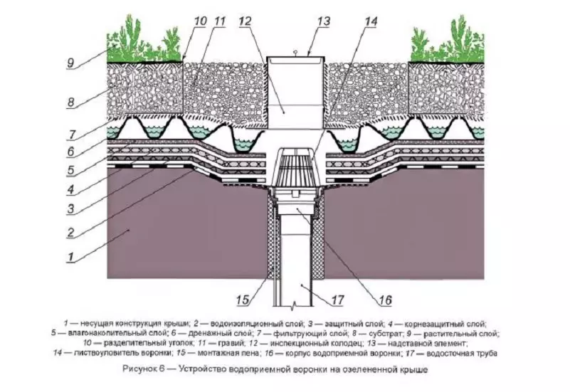 Виды и технологии озеленения крыш