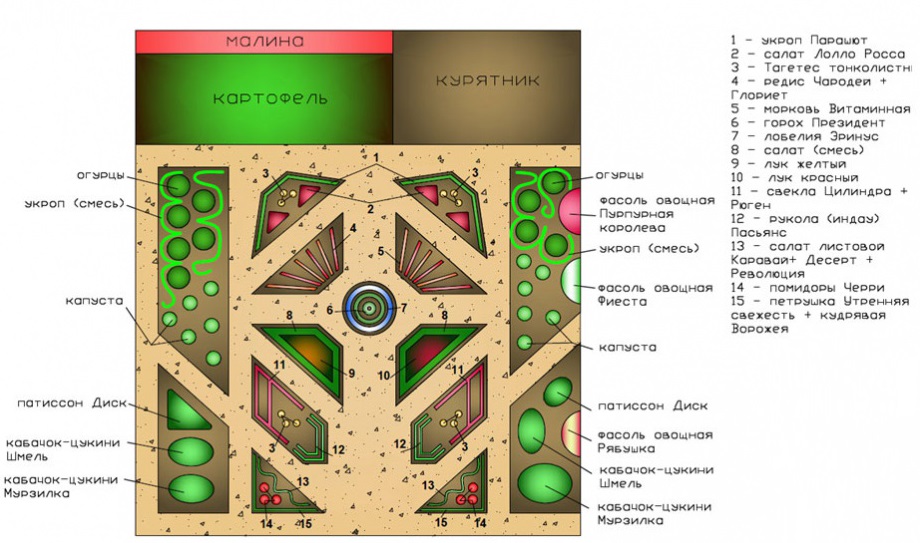 план декоративного огорода с растениями
