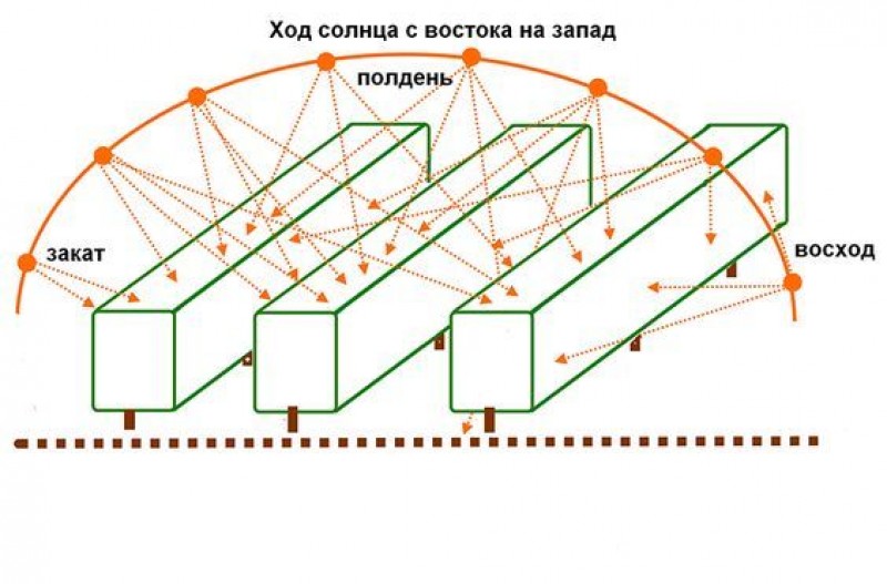 расположение грядок по сторонам света