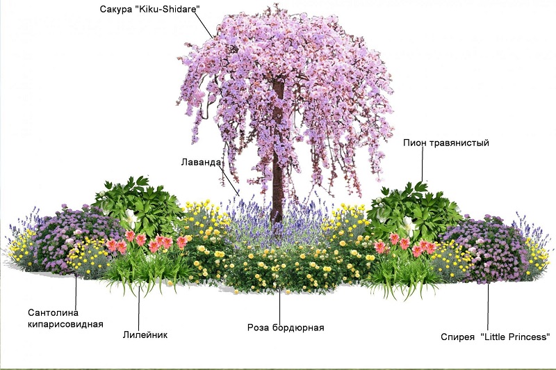 схема солитера с миксбордером