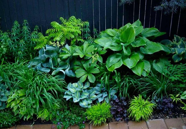 Красивые клумбы из многолетников — готовые решения для вашего сада!
