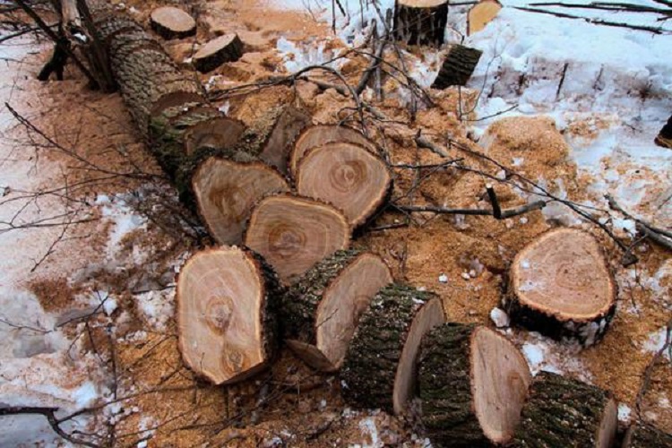 заготовки из спилов для дорожек