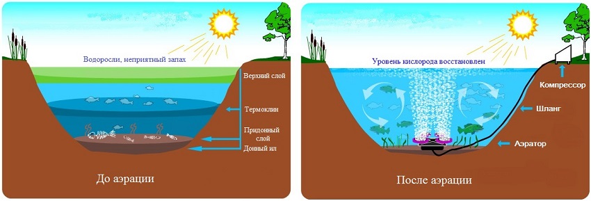 аэрация водоемов